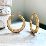 Stainless Steel Gold Puffy Hoop Earrings