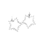 18K Gold/Silver Rhodium Plated Star Stone Earrings