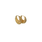 Gold Plated Brass hoop Earrings